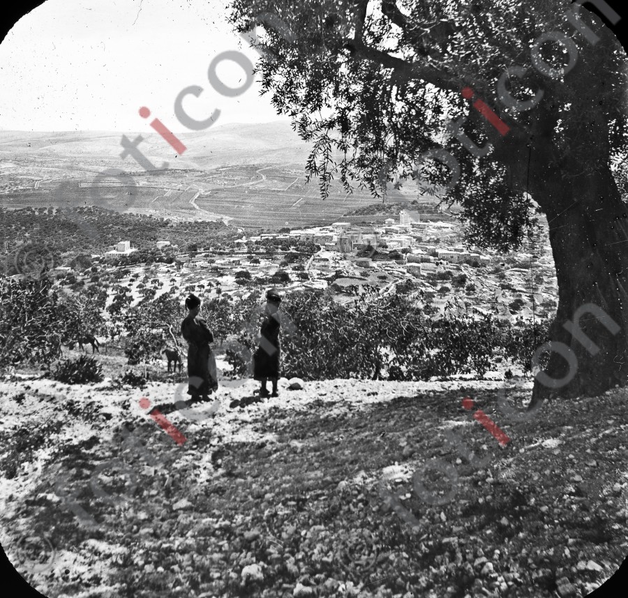 Hirten in Palästina | Shepherds in Palestine (foticon-simon-heiligesland-54-046-sw.jpg)